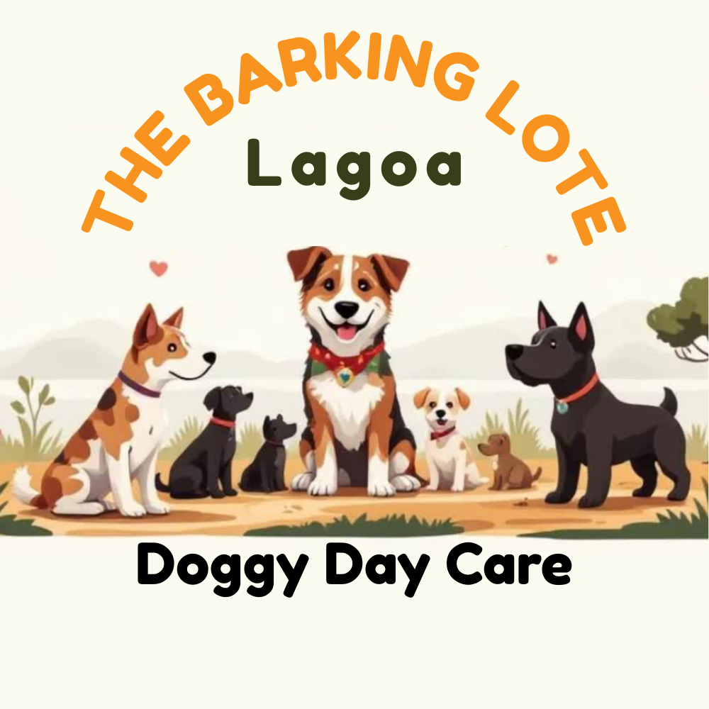 a cartoon with dogs sitting in a park and the words the barking lote lagoa doggy day care
